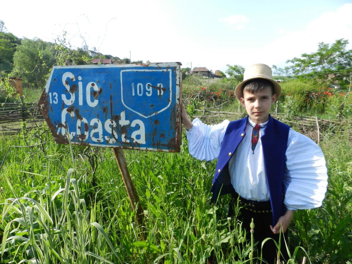 Csipkeszeg Bed & Breakfast Sic / Szek Romania Zewnętrze zdjęcie