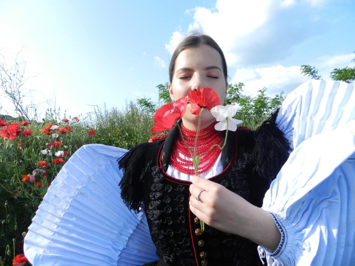 Csipkeszeg Bed & Breakfast Sic / Szek Romania Zewnętrze zdjęcie