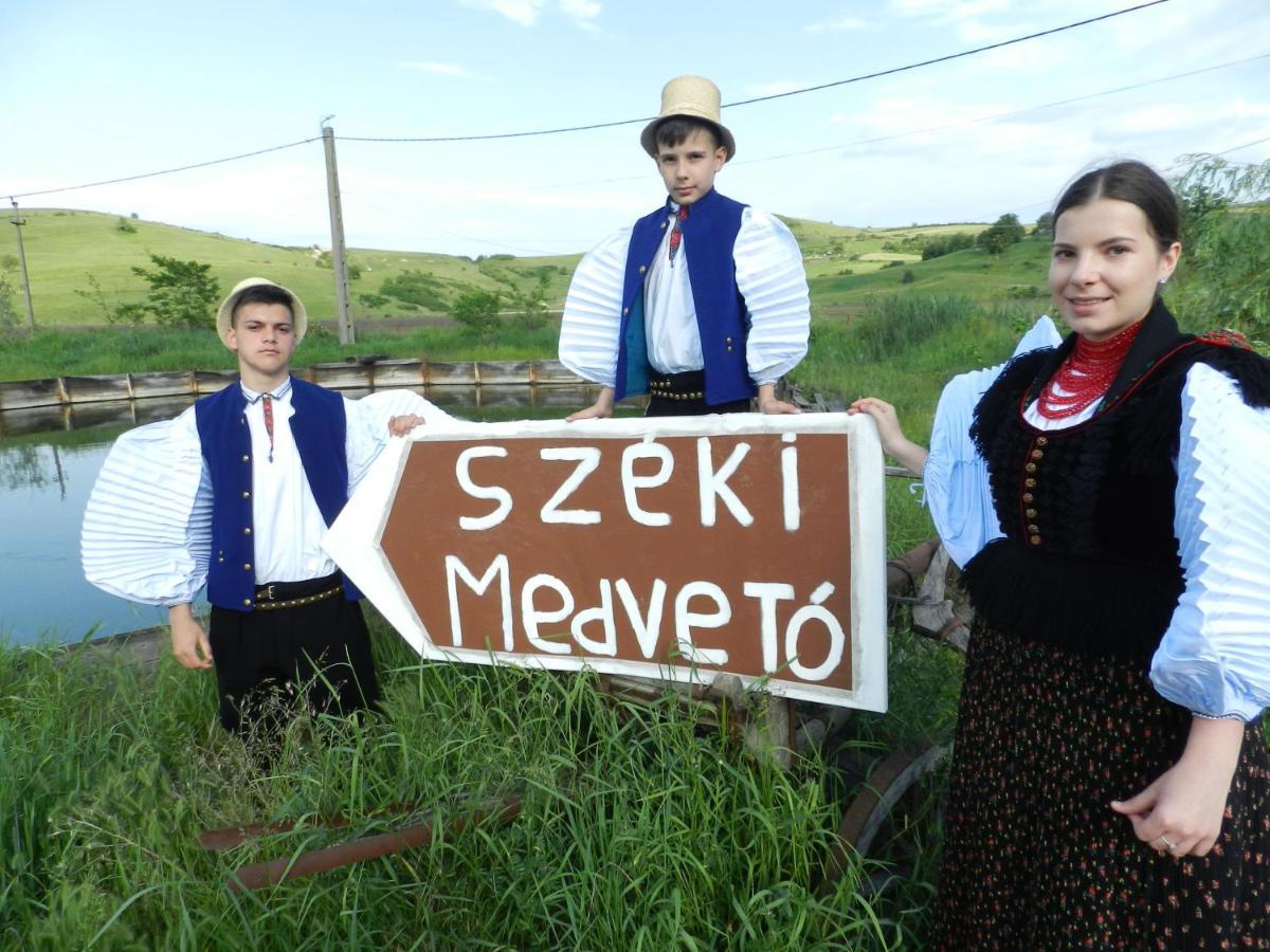 Csipkeszeg Bed & Breakfast Sic / Szek Romania Zewnętrze zdjęcie