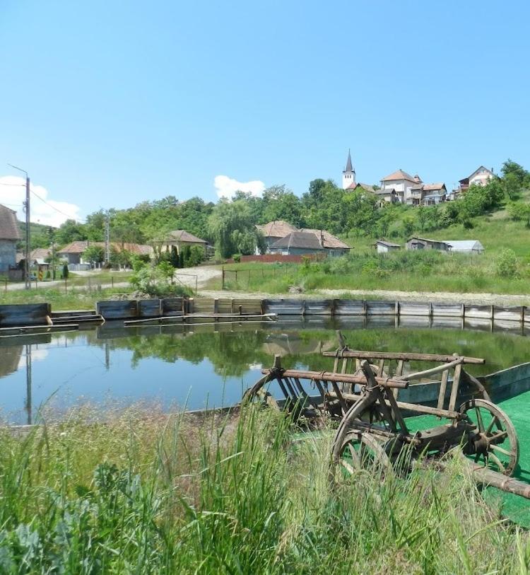 Csipkeszeg Bed & Breakfast Sic / Szek Romania Zewnętrze zdjęcie