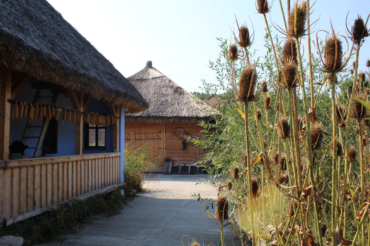 Csipkeszeg Bed & Breakfast Sic / Szek Romania Zewnętrze zdjęcie