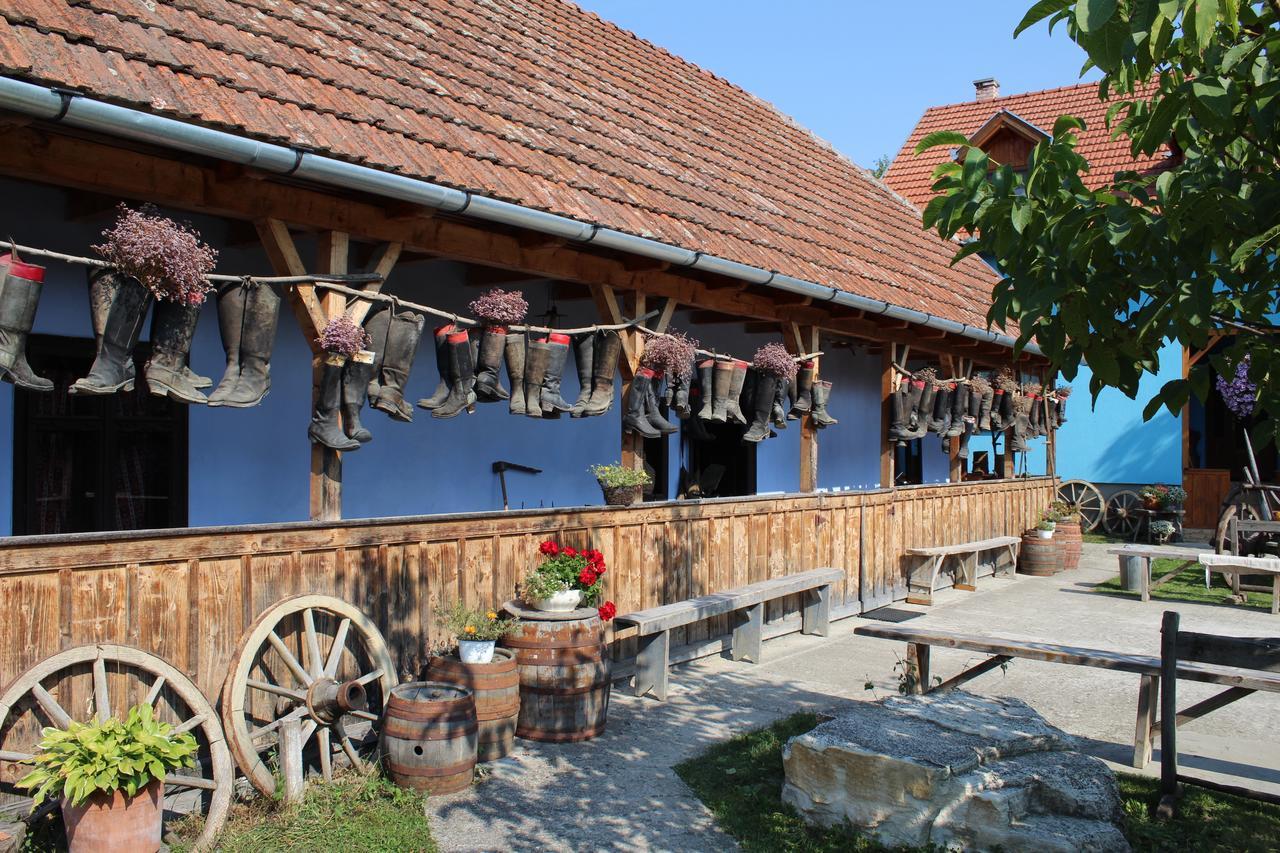 Csipkeszeg Bed & Breakfast Sic / Szek Romania Zewnętrze zdjęcie