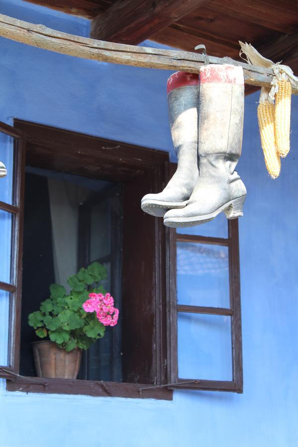 Csipkeszeg Bed & Breakfast Sic / Szek Romania Zewnętrze zdjęcie