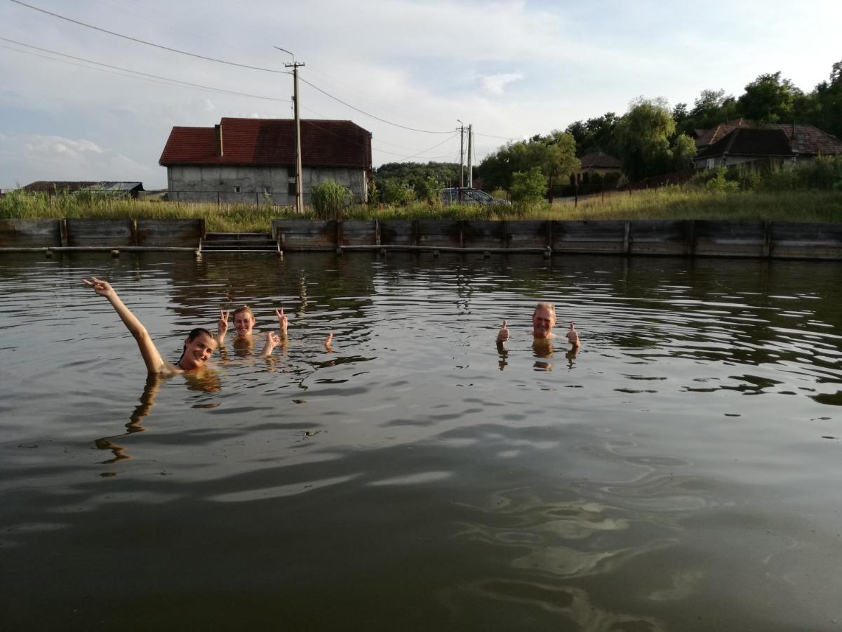 Csipkeszeg Bed & Breakfast Sic / Szek Romania Zewnętrze zdjęcie